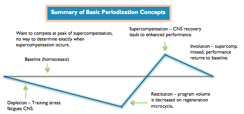 periodization