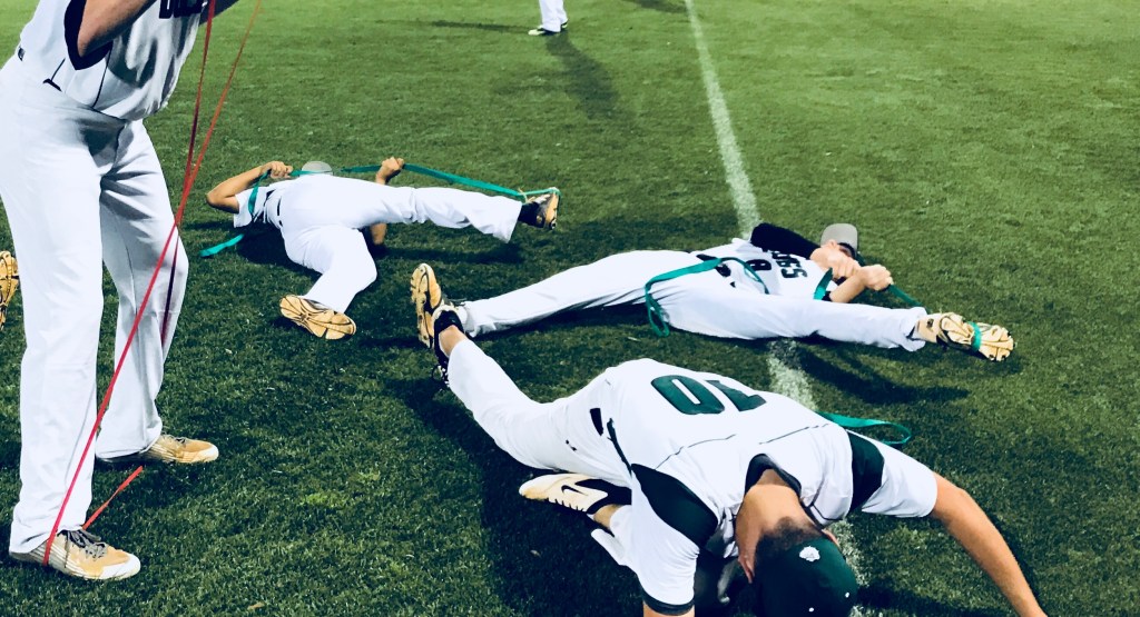 Considerations for Managing the Amateur&nbsp;Pitcher